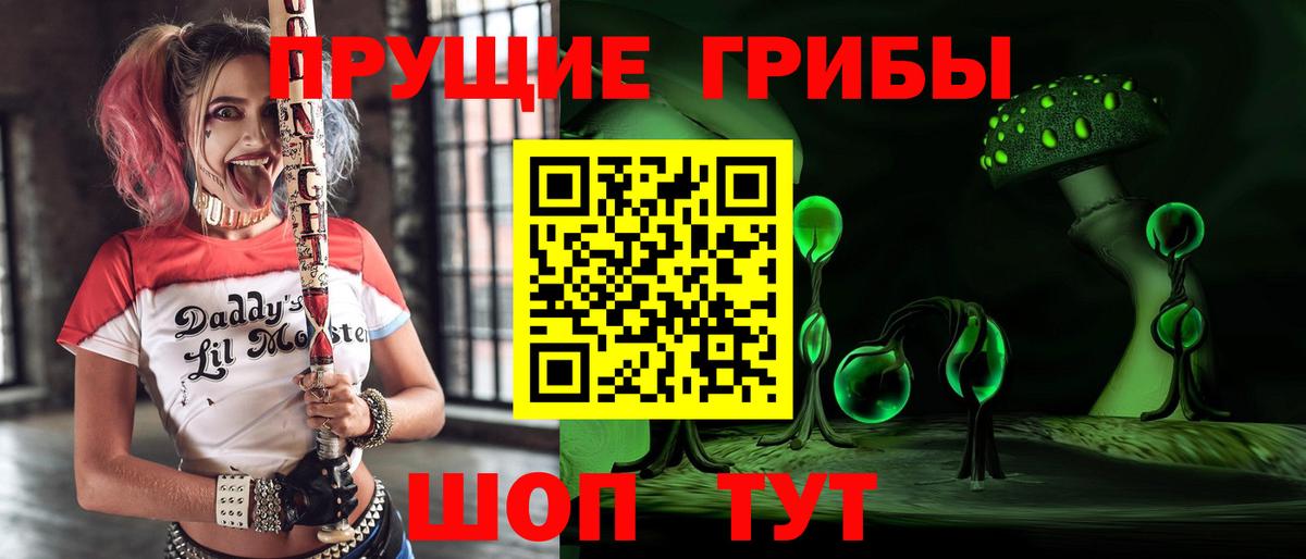 Михайловка  наркошоп  Вход с VPN  Псилоцибиновые грибы ЛСД 